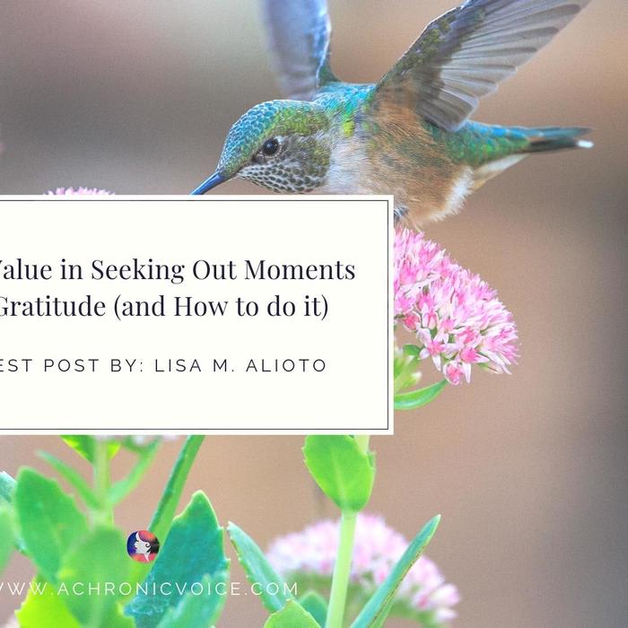 The Value in Seeking Out Moments of Gratitude (and How to do it)