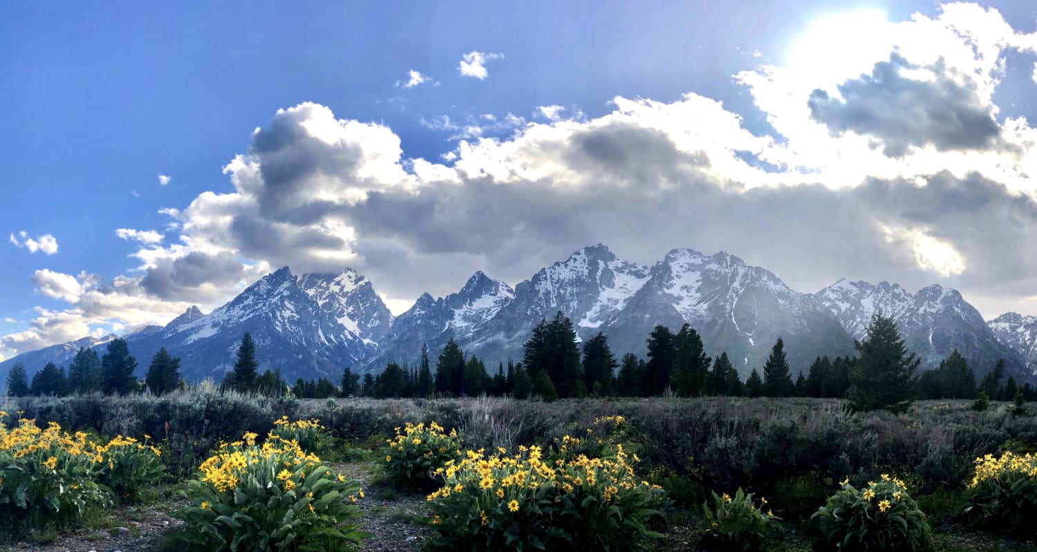 Quite possibly the best picture I’ve ever taken ♥️ - Grand Teton National Park