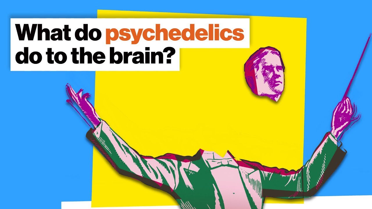 How psychedelics work: Fire the conductor, let the orchestra play | Michael Pollan | Big Think