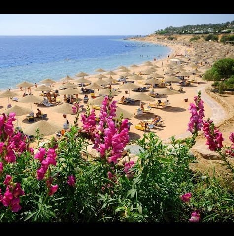 Domina Aquamarine Hotel & Resort Sharm El Sheikh Egypt