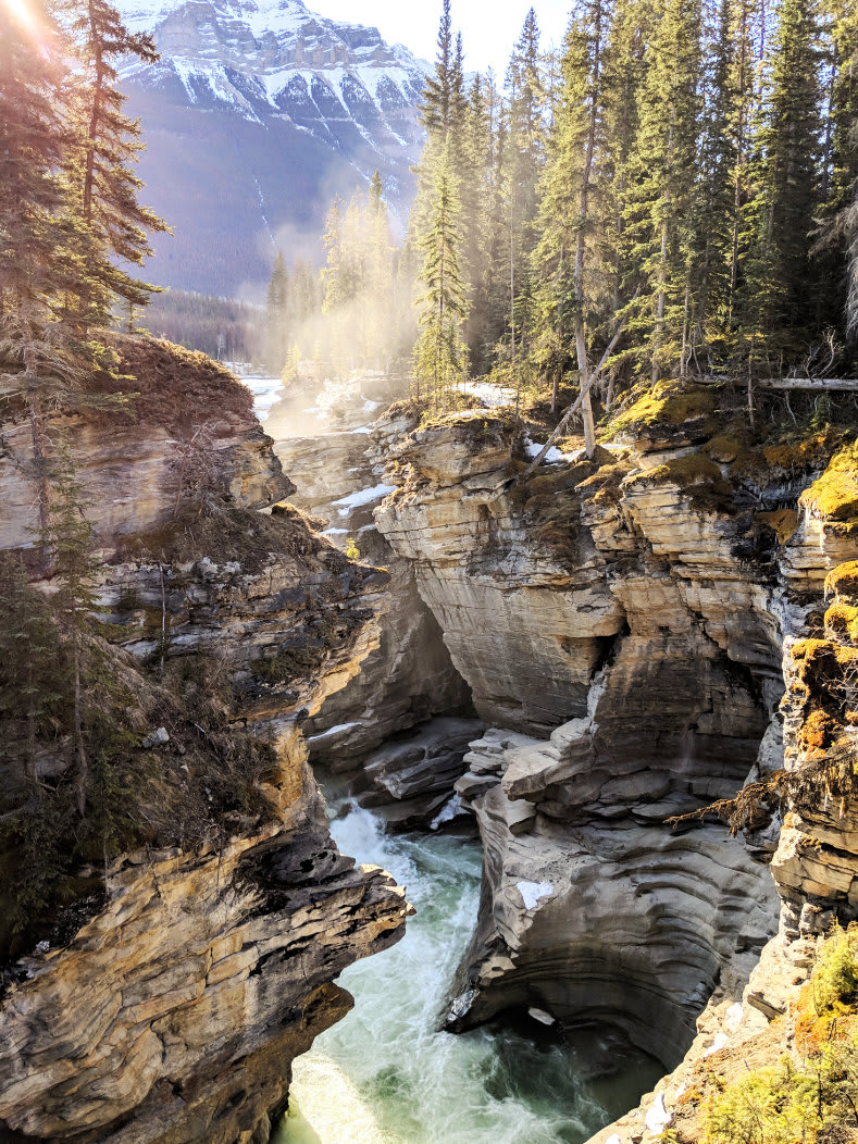 Athabasca Falls - Icefields parkway