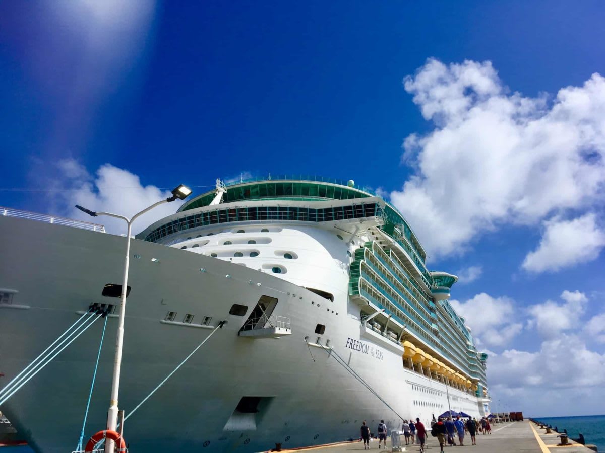 Top 11 Tips for a Smooth Disembarkation Day