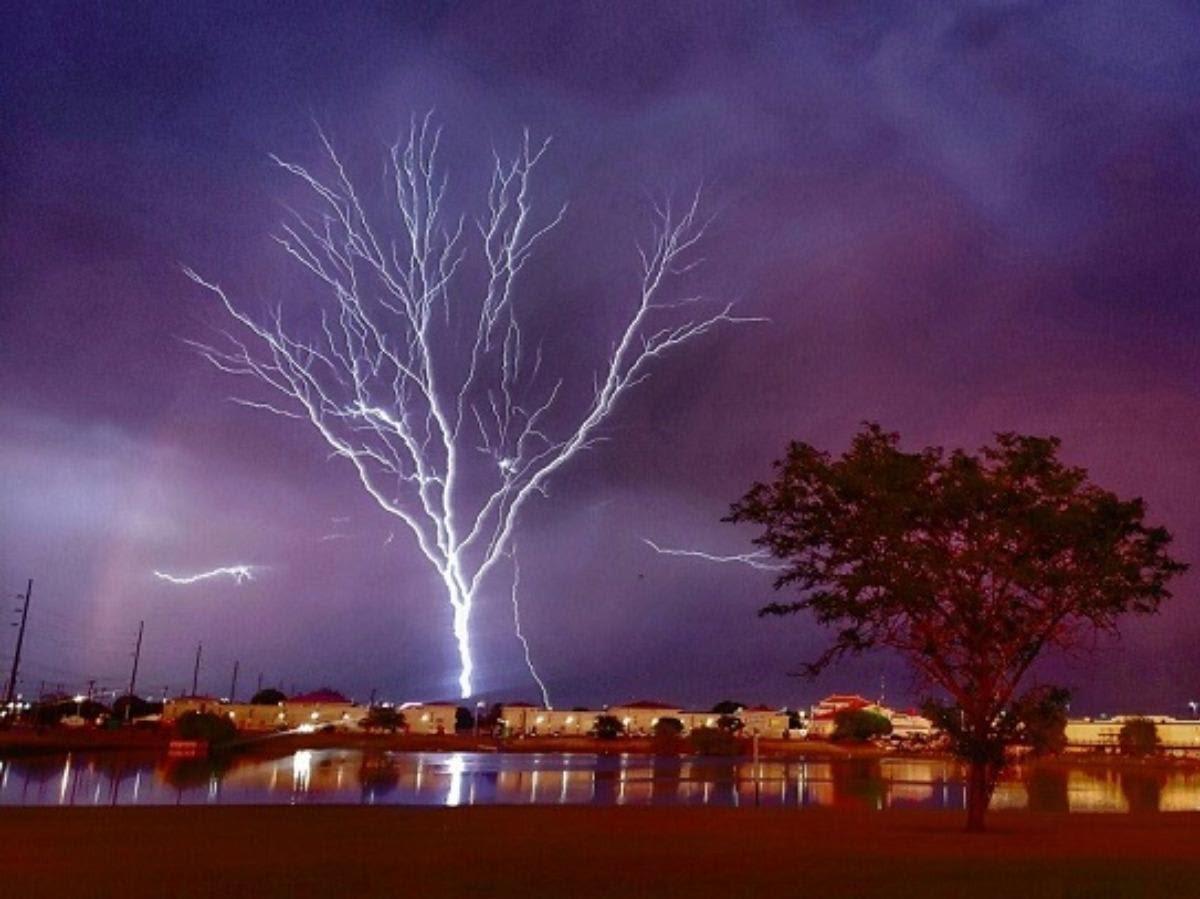 Lightning that looks like a tree in Lubbock, TX