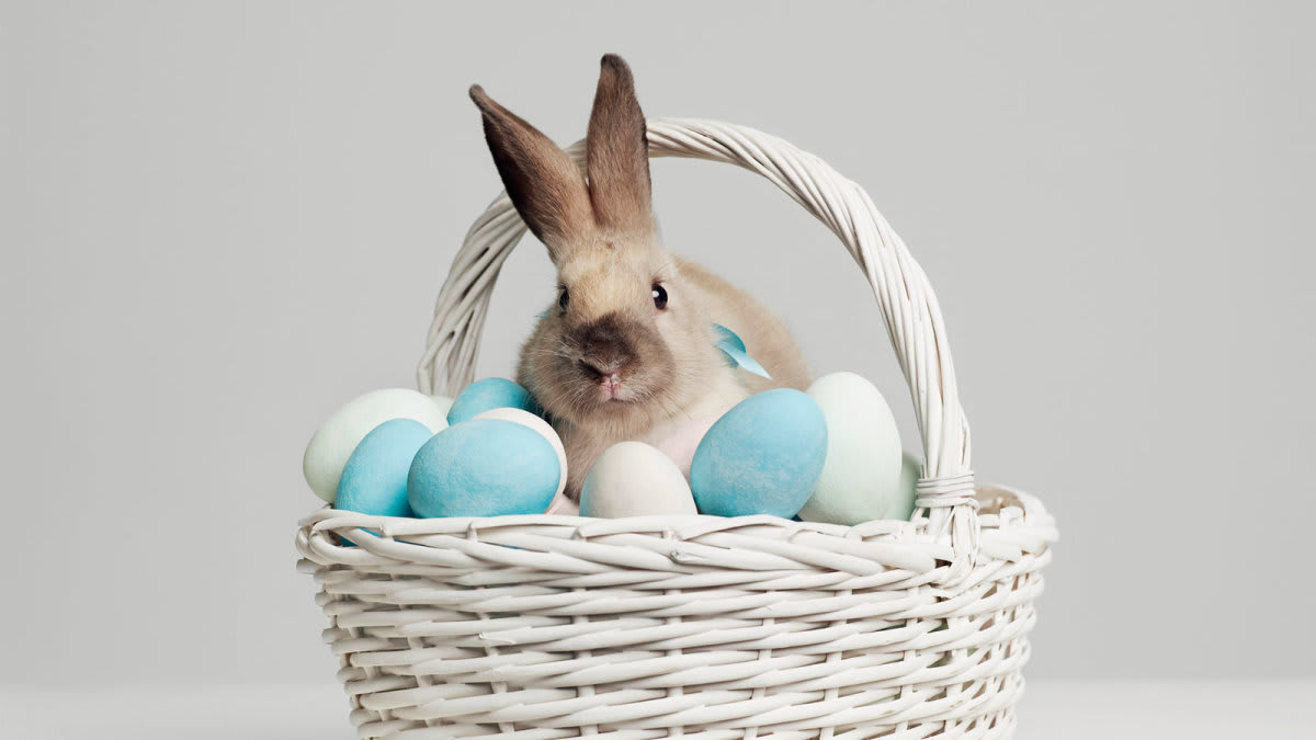 Top 5 Reasons We Celebrate Easter With a Bunny