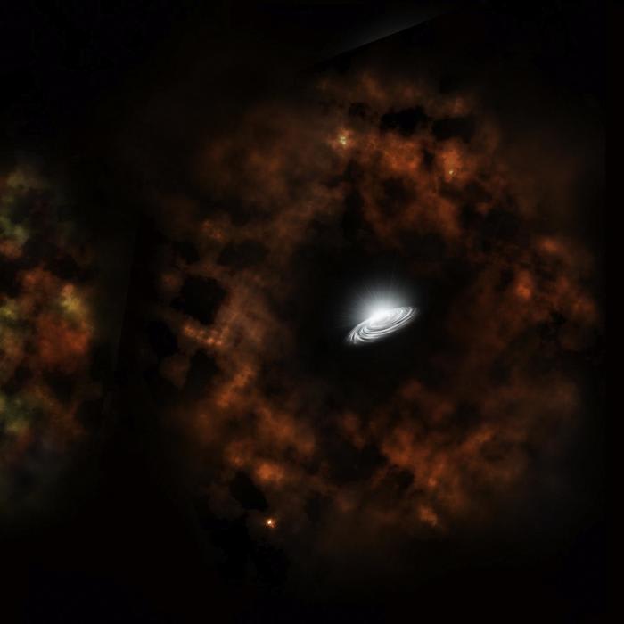 Collapsing Star Gives Birth to a Black Hole