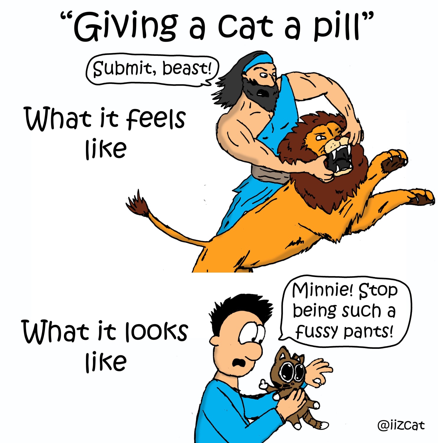 Giving a cat a pill