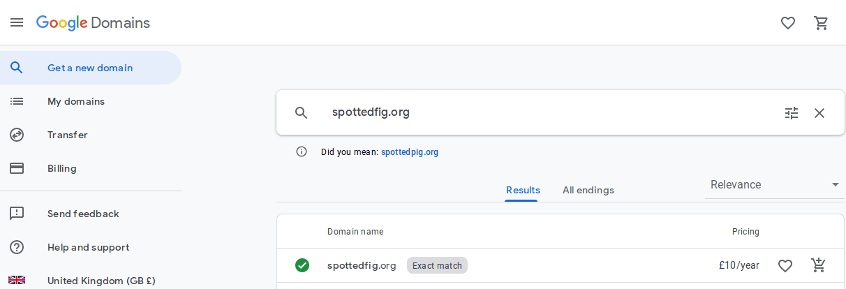 Even Google forgets to renew its domains