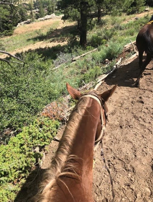 Horseback Riding in the Rocky Mountains
