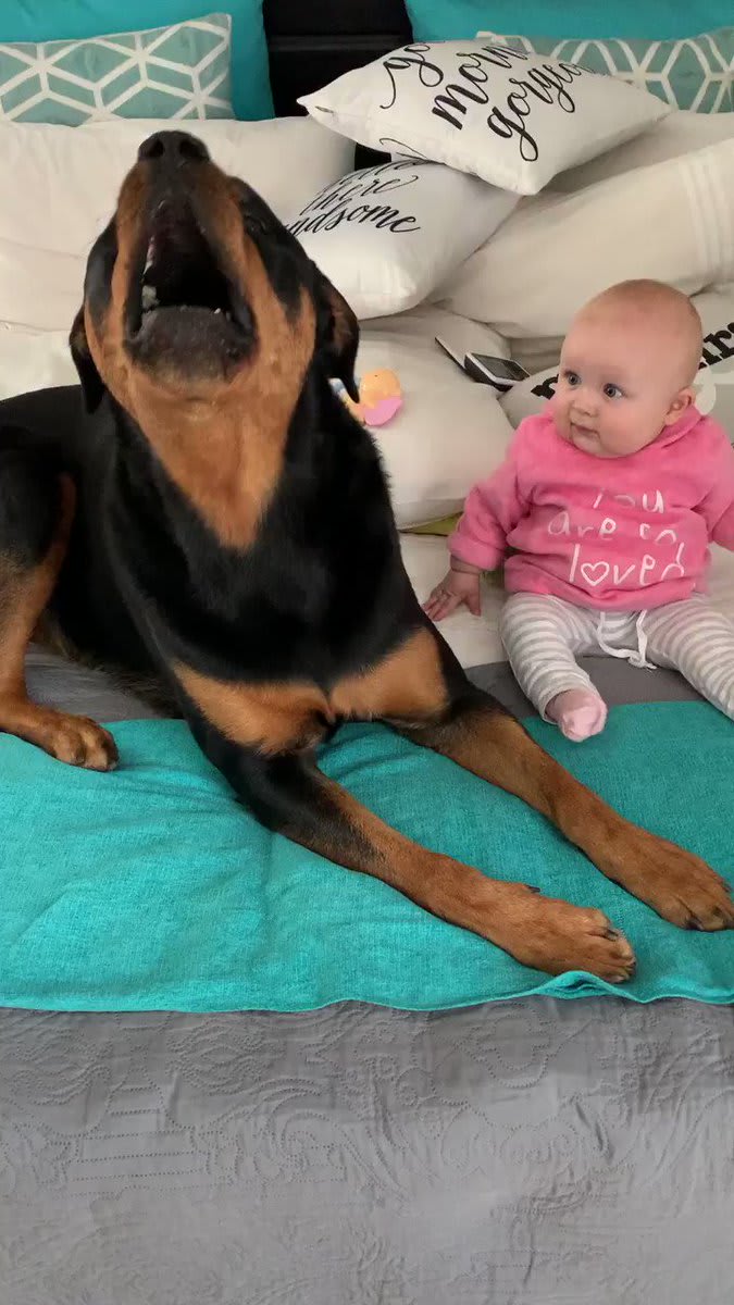 Loyal Rottweiler copies everything her baby sister does — when she learns to sing, she joins right in! 😍