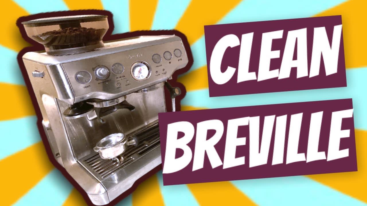 How to clean Breville Barista Express BES870XL