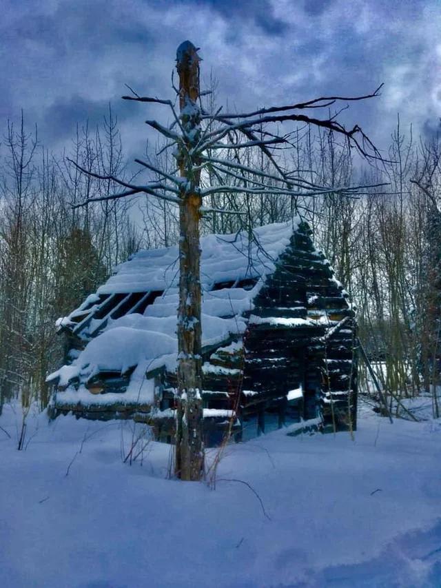 Abandoned Cabin, North Shore of Lake Superior