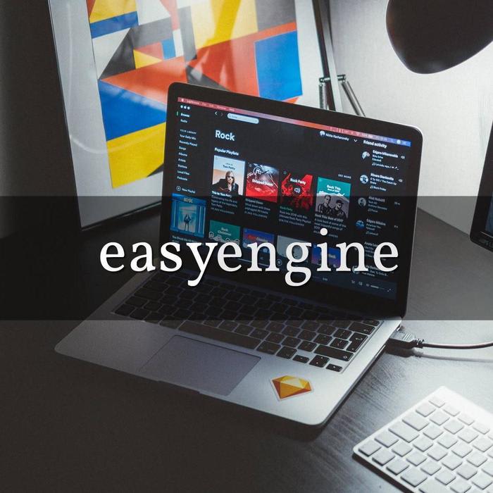 How to Resolve Multiple Domains to a Single Wordpress Instance with EasyEngine