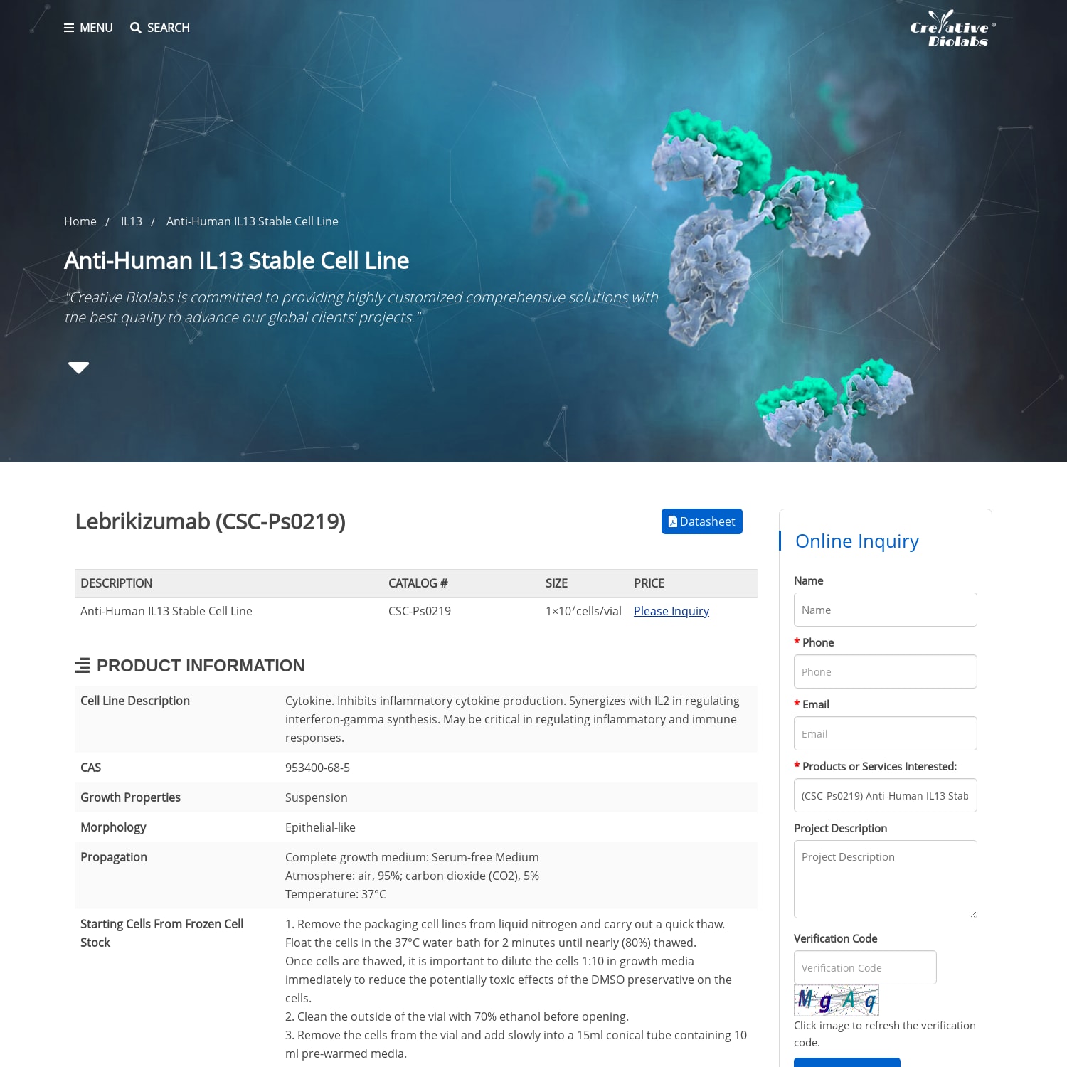 Anti-Human IL13 Stable Cell Line, Lebrikizumab - Creative Biolabs