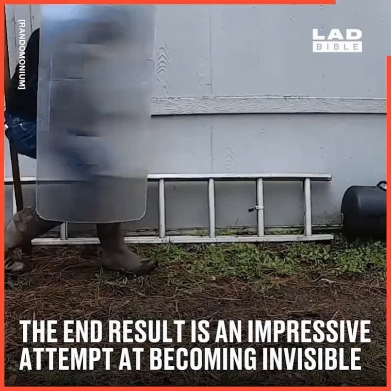 DIY Invisibility Shield