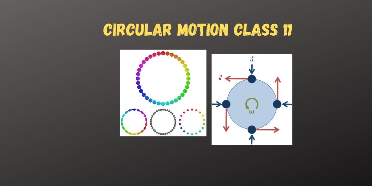 Definition of Circular motion - CBSE Digital Education