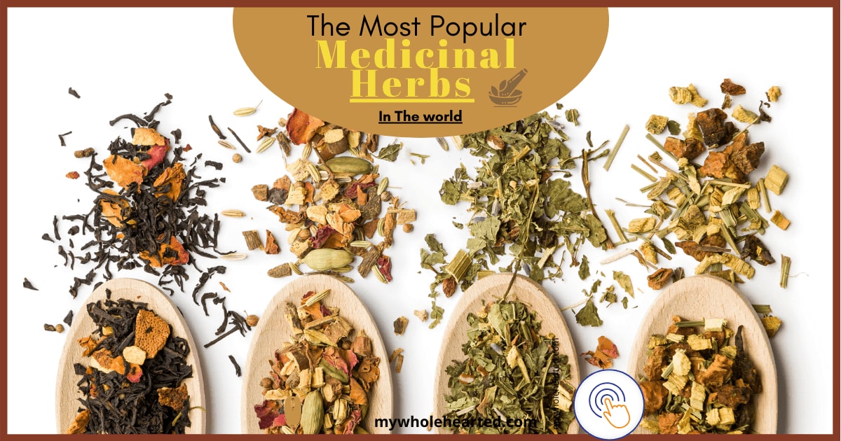 The most popular medicinal herbs in the world