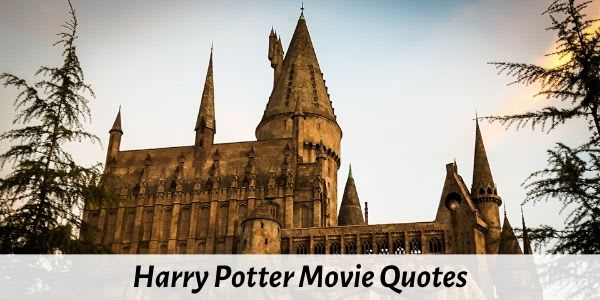 85 Best Harry Potter Quotes on Friendship, Love and Motivation
