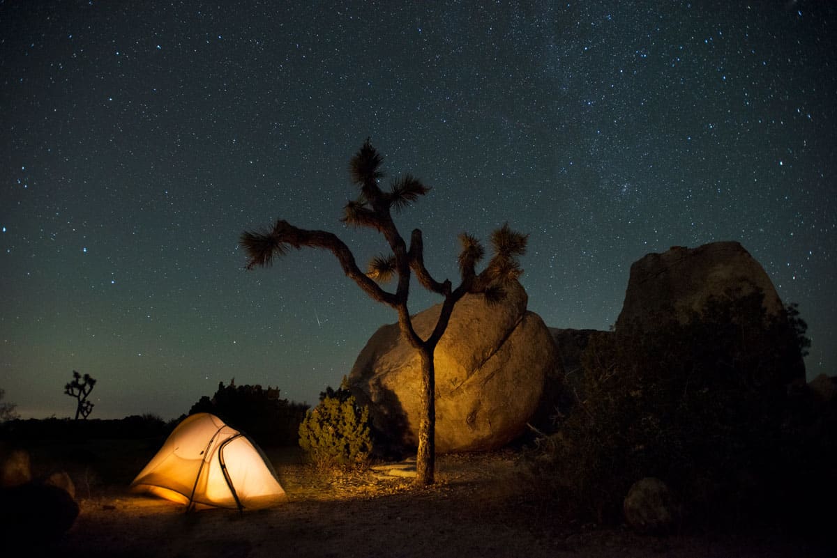 Best Hikes in Joshua Tree National Park For First Time Visitors