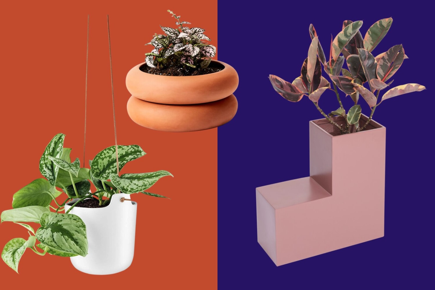 25 Chic Pots and Planters to Instantly Upgrade Your Greenery