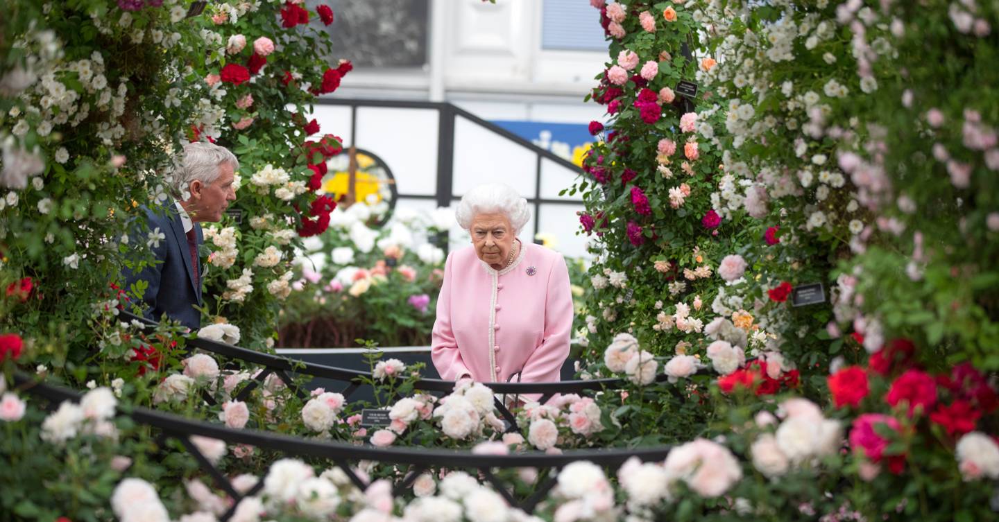 The royal family choose their favourite flowers in honour of the Chelsea Flower Show