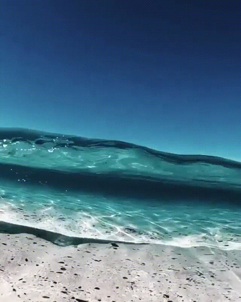 How crystal clear this water is