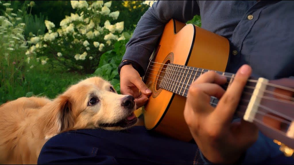 Musician Says Goodbye to His Beloved Dog With a Beautiful Acoustic Cover of 'What a Wonderful World'