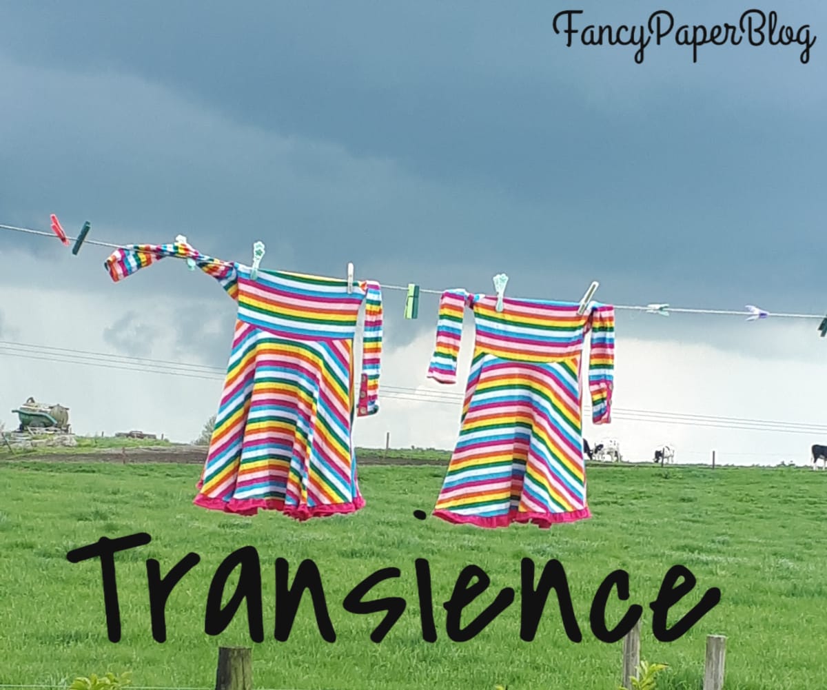 Transience: Marking the Big Moments in Life