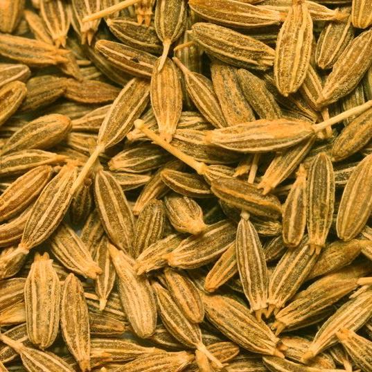 Extremely Health Benefits of Cumin Water (Jeera Water)