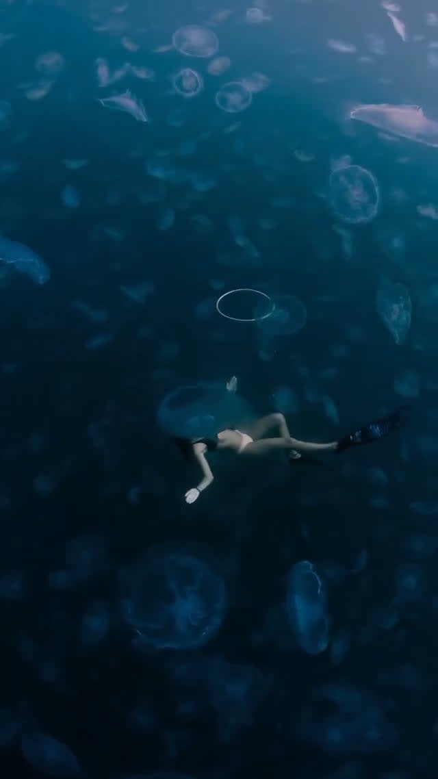 Floating in a field of Jellyfish in the beautiful waters of Raja Ampat
