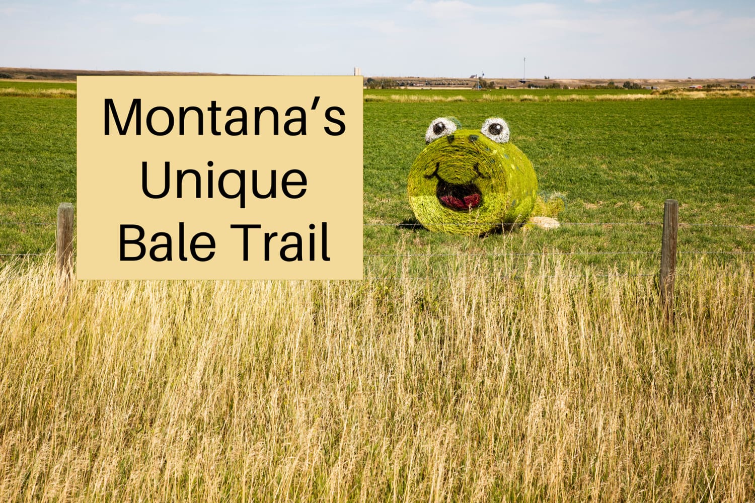 Montana Bale Trail