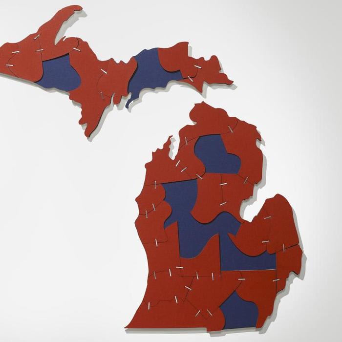 How Redistricting in Michigan Has Disenfranchised Voters and Helped the Far Right Capture a Centrist State