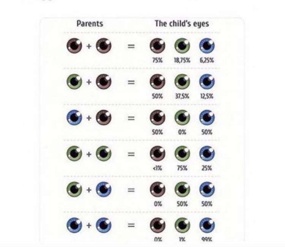 Eye color genetics chart