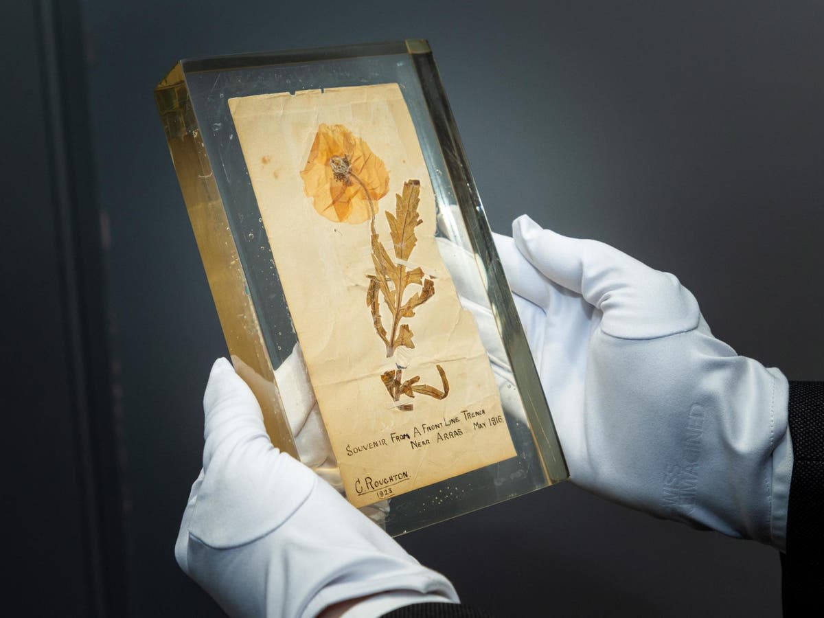'World’s oldest poppy' goes on display to mark Remembrance Sunday