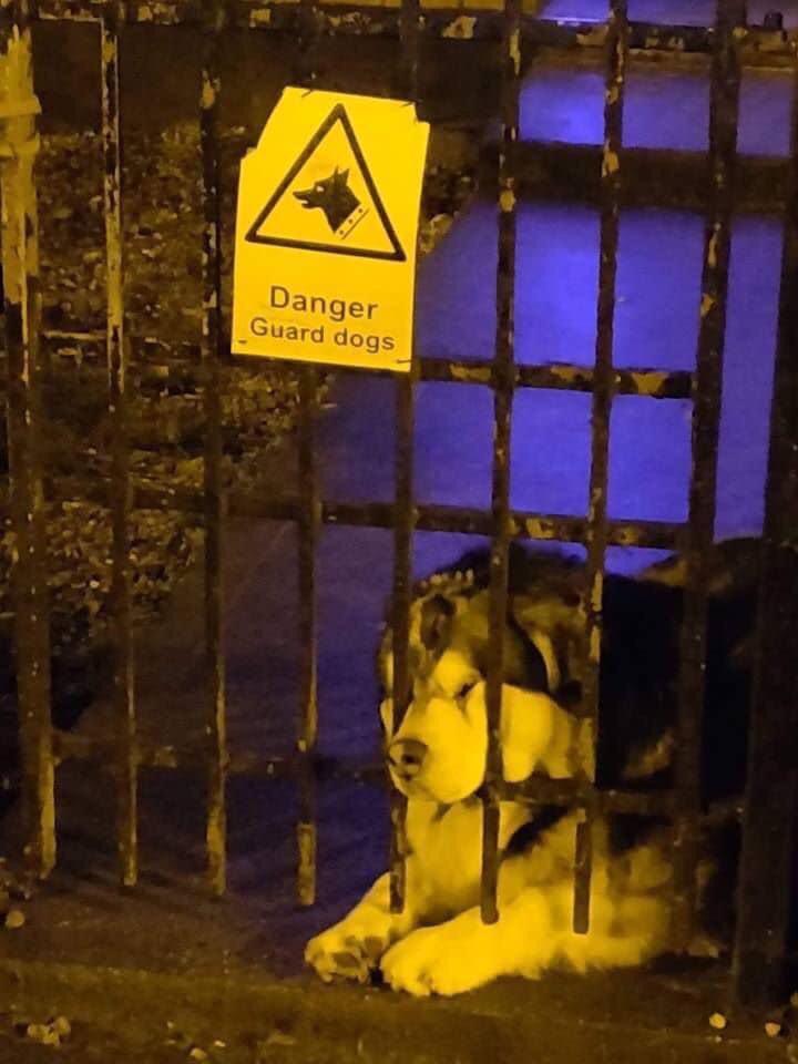 very-intimidating