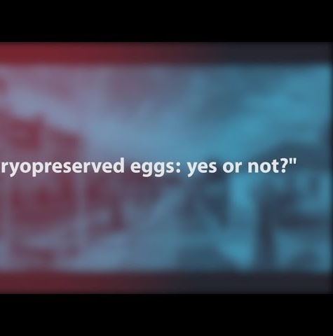 About cryopreserved eggs: yes or not?