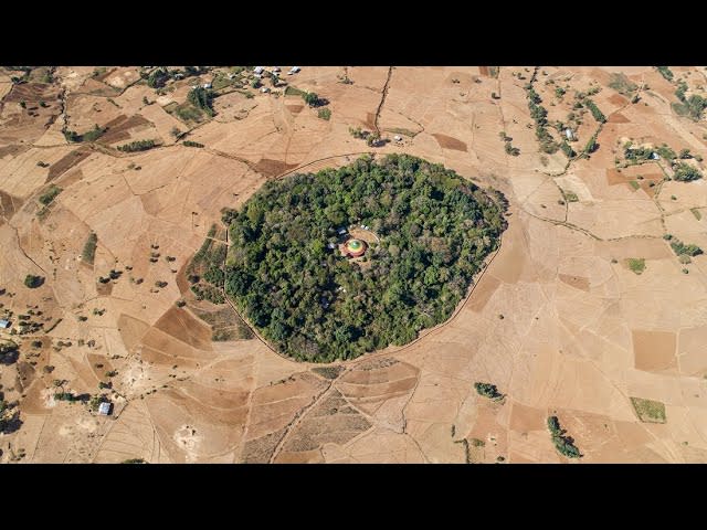 The Church Forests of Ethiopia: Nearly all of Ethiopia’s old-growth forest has disappeared. This film tells the story of the pockets of lush biodiversity that surround hundreds of Ethiopian churches and the efforts to protect them [8:44]