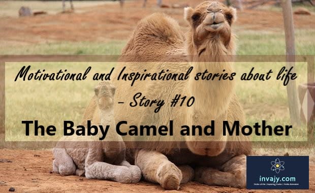 Motivational and Inspirational stories about life - The Baby Camel and his Mother (Inspiring Story #10)