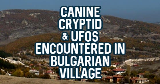 Canine Cryptid / UFOs Encountered in Bulgarian Village