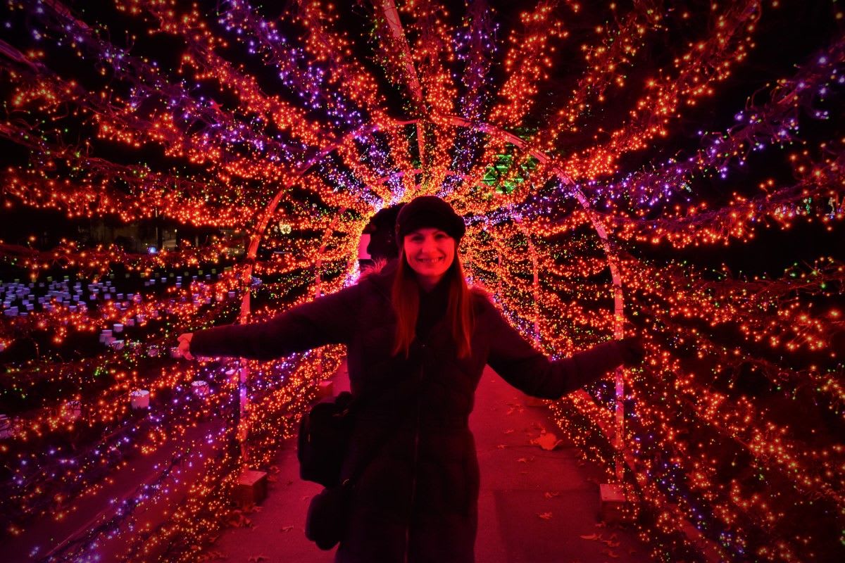Get into the Holiday Spirit at the Garden Glow in St. Louis