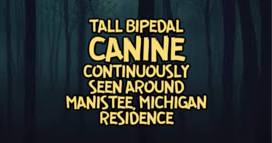 Tall Bipedal Canine Continuously Seen Around Manistee, Michigan Residence