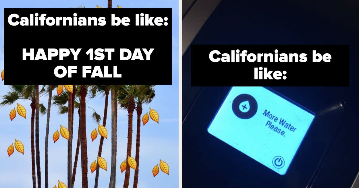 19 Things That Almost All Californians Are Guilty Of Doing