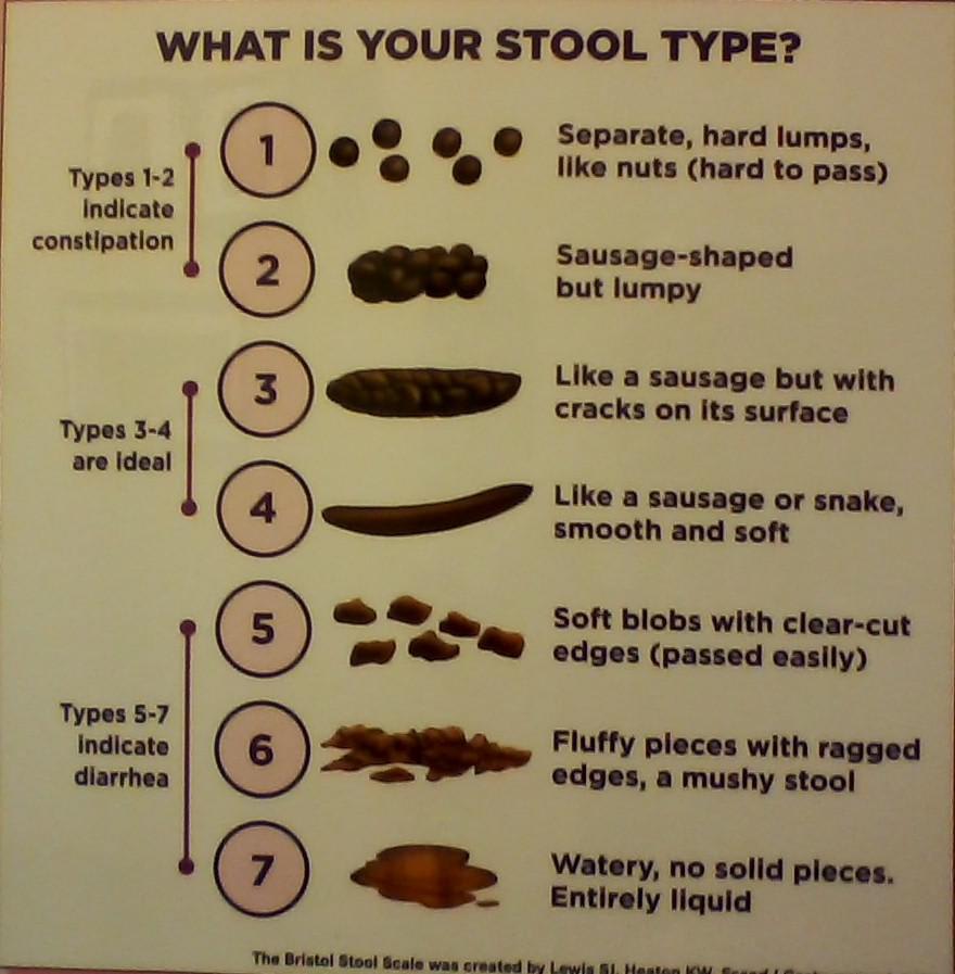 Constipation Chart in a doctor's office