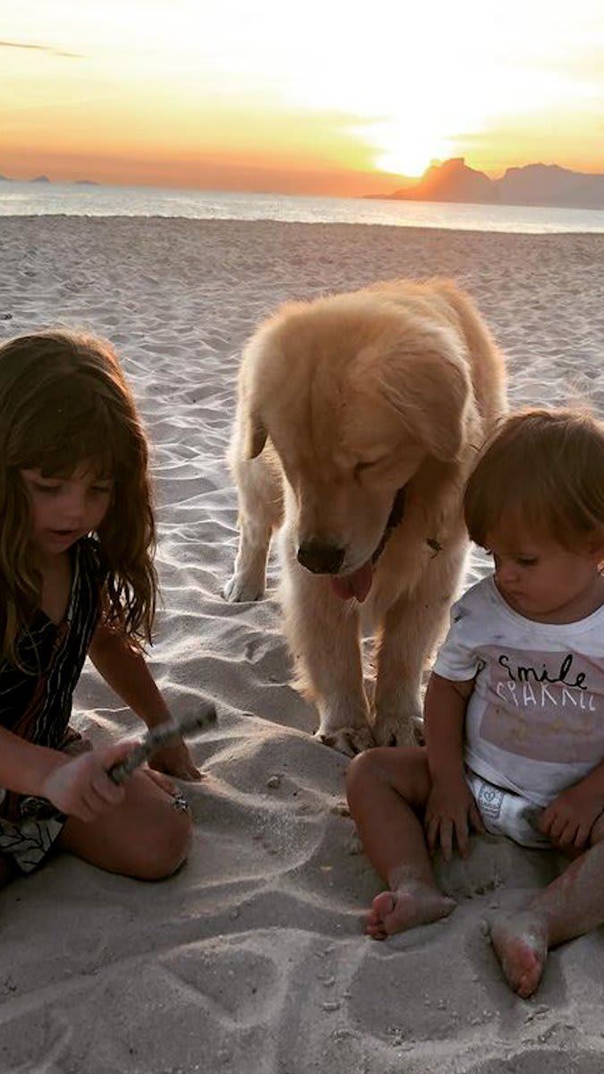 Golden retriever puppy grows up with his baby sister... then becomes a big brother again 😍