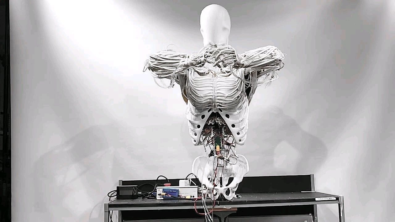 Realrobotix Android real Android powered by artificial muscles