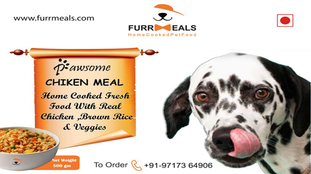 Fresh Food Supplier for Dogs in Delhi