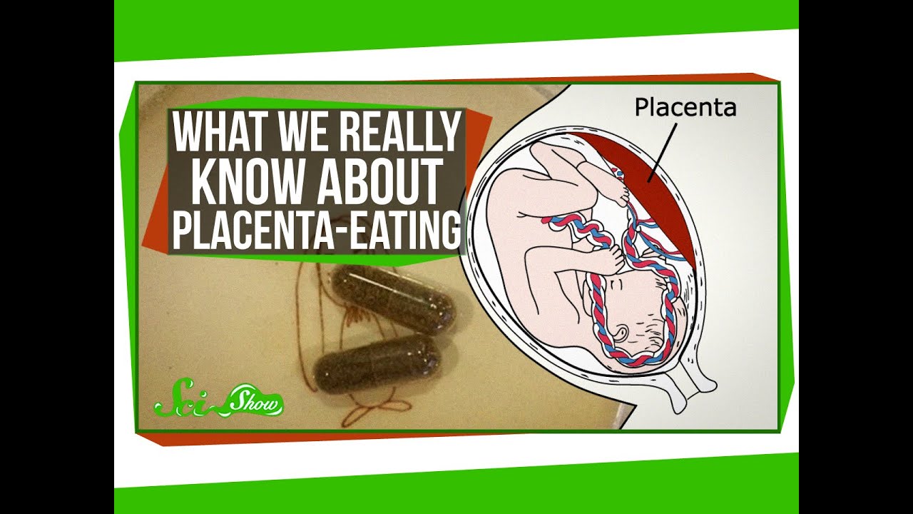 What We Really Know About Placenta-Eating