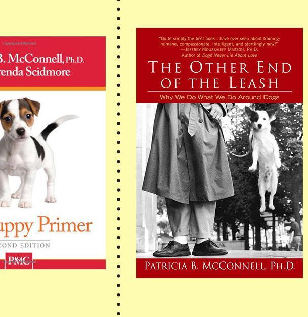 The Best Books for New Dog Owners