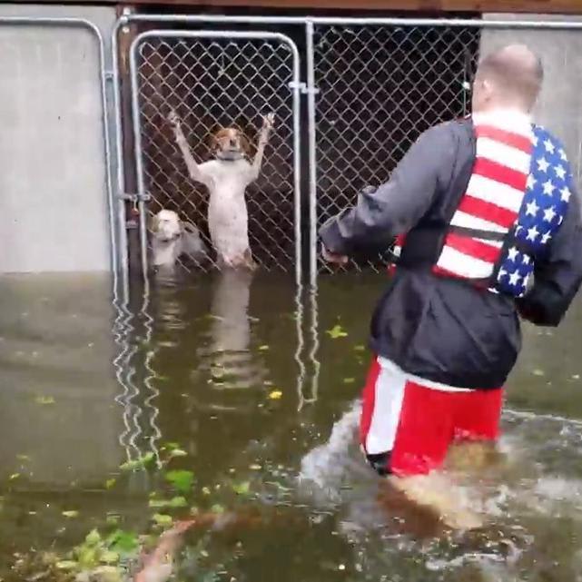 Dogs rescued from locked kennel surrounded by rising Florence floodwater