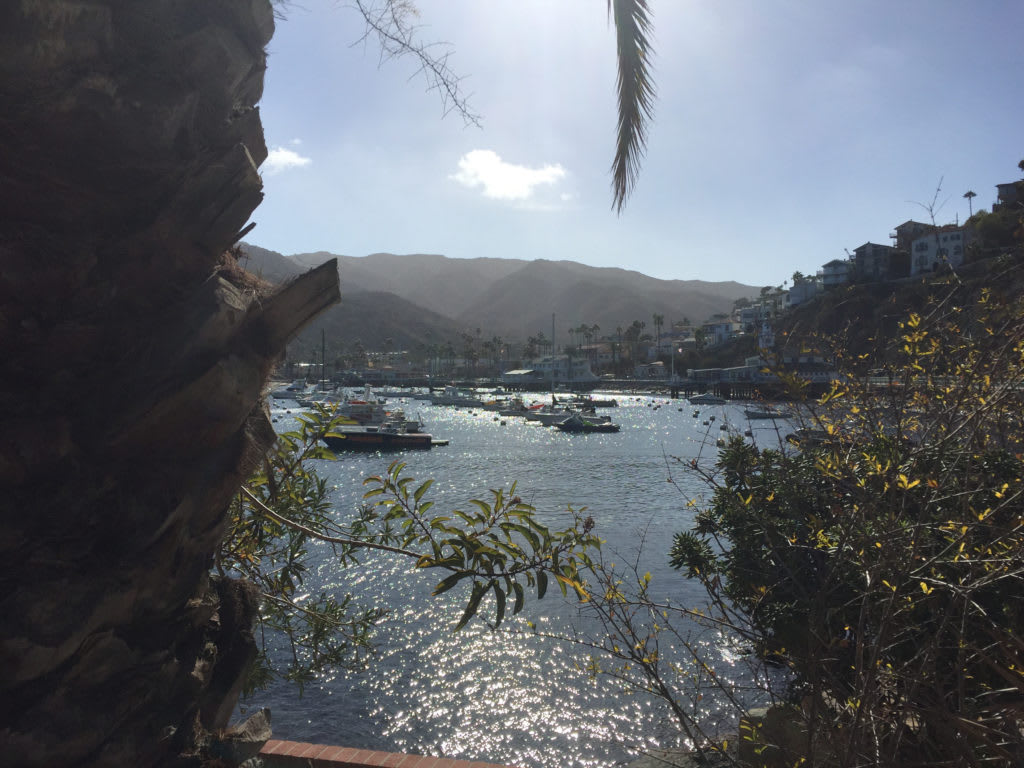 Tips for the Perfect Winter Visit to Catalina