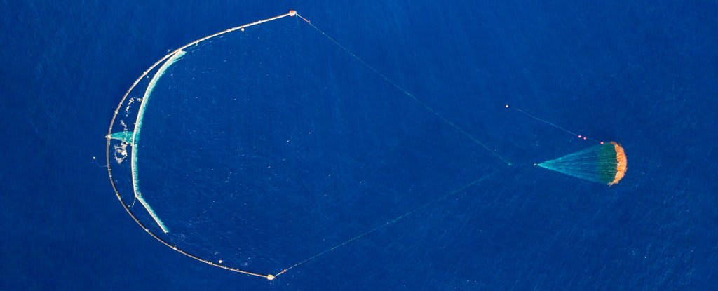 That Great Pacific Garbage Patch Cleaning Device Is Finally Working Properly